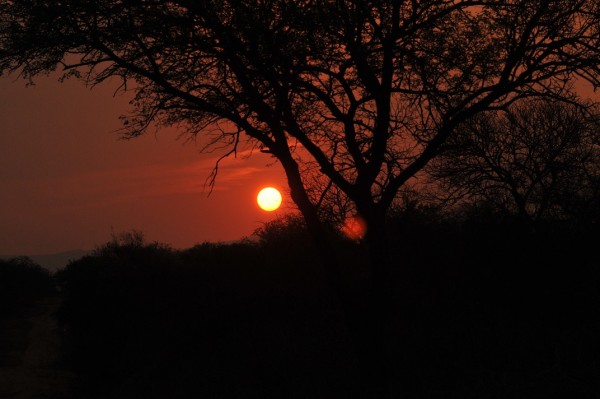 Racconti di Viaggio / Sudafrica: tra vigneti e savana.