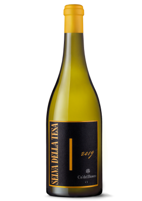 Chardonnay Selva della Tesa tra i migliori 10 Vini d'Italia di Bibenda 2024 Chardonnay Selva della Tesa tra i migliori 10 Vini d'Italia di Bibenda 2024