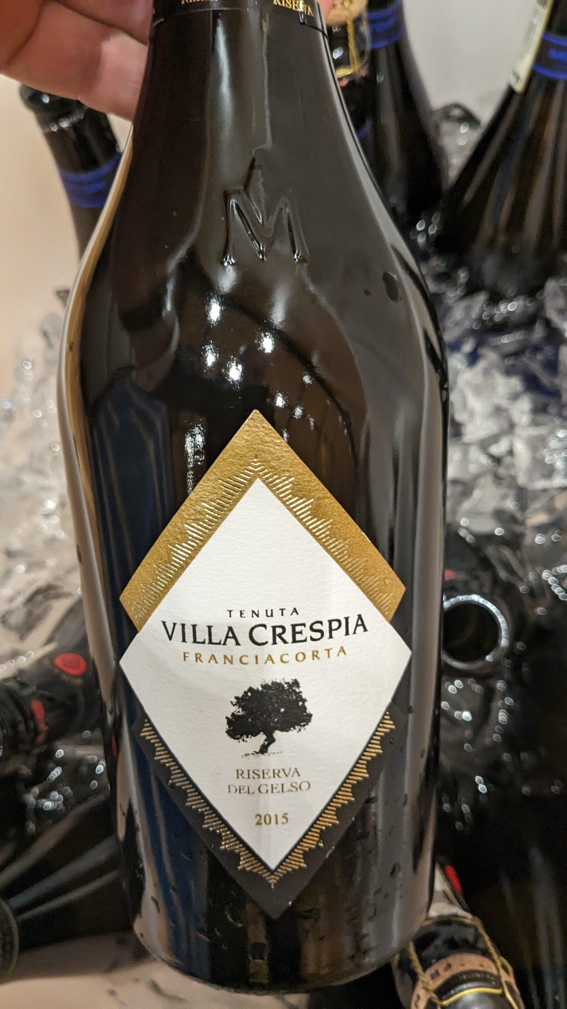 Franciacorta Dosaggio Zero Riserva del Gelso 2015