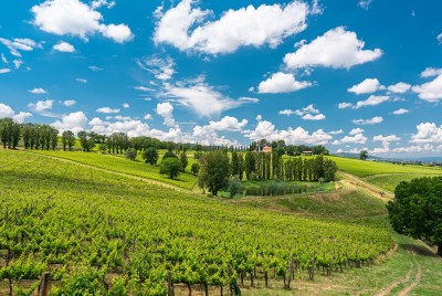 Panoramica dell'azienda Arnaldo Caprai