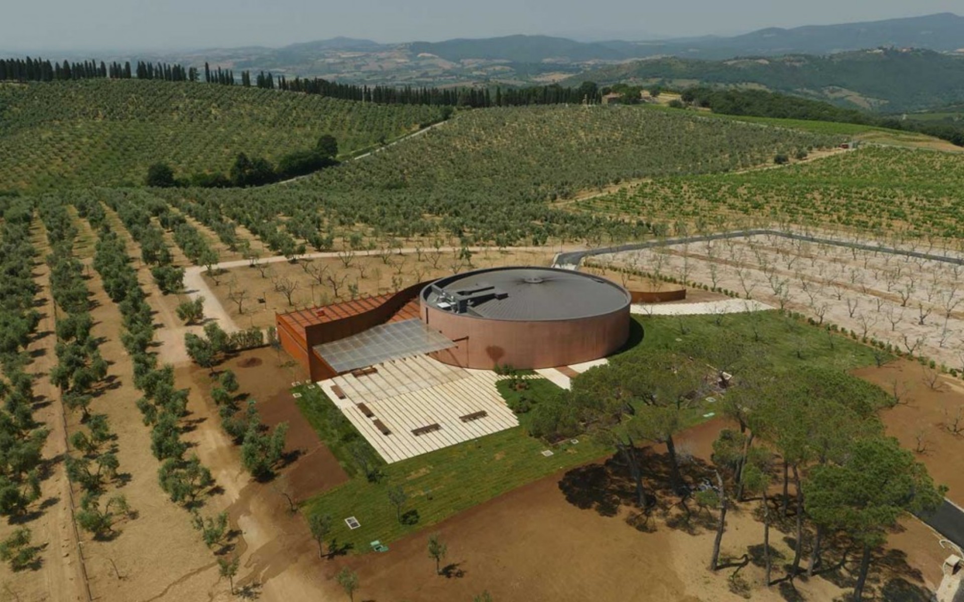 L'Auditorium di Fondazione Bertarelli costruito in mezzo alle vigne di Collemassari L'Auditorium di Fondazione Bertarelli costruito in mezzo alle vigne di Collemassari