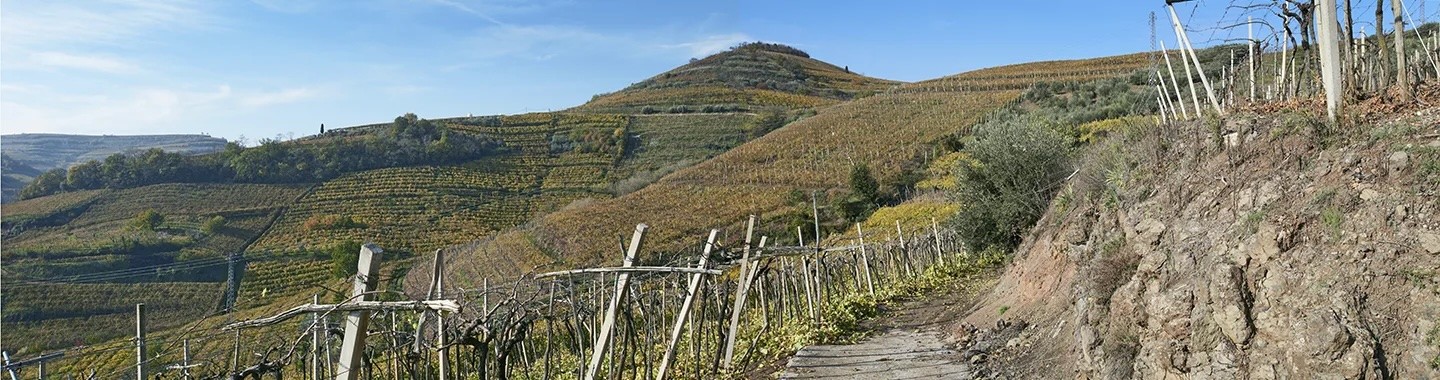 La Terra ha in sé Musica per chi la sa ascoltare La Terra ha in sé Musica per chi la sa ascoltare