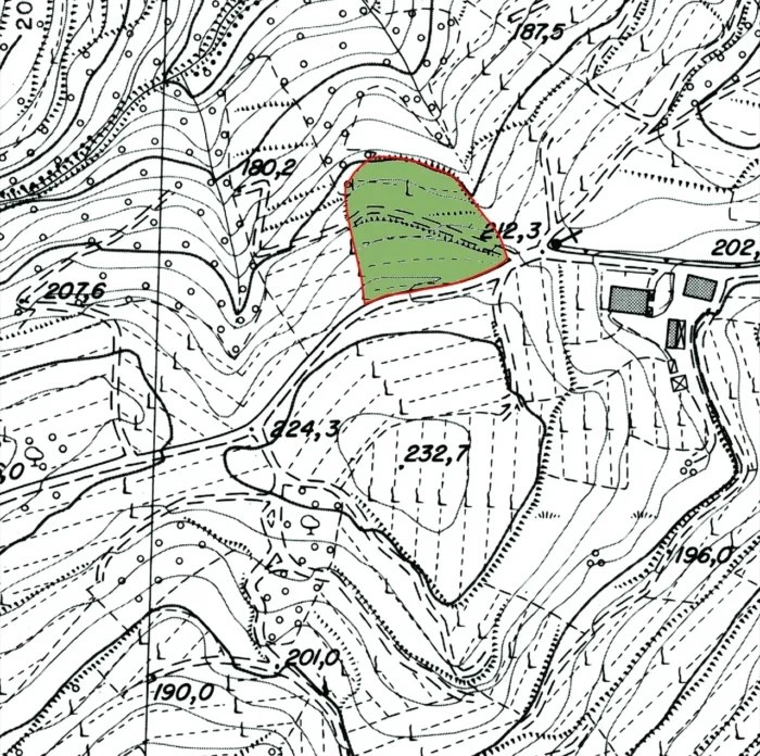 Vigneto Castellaro Vigneto Castellaro