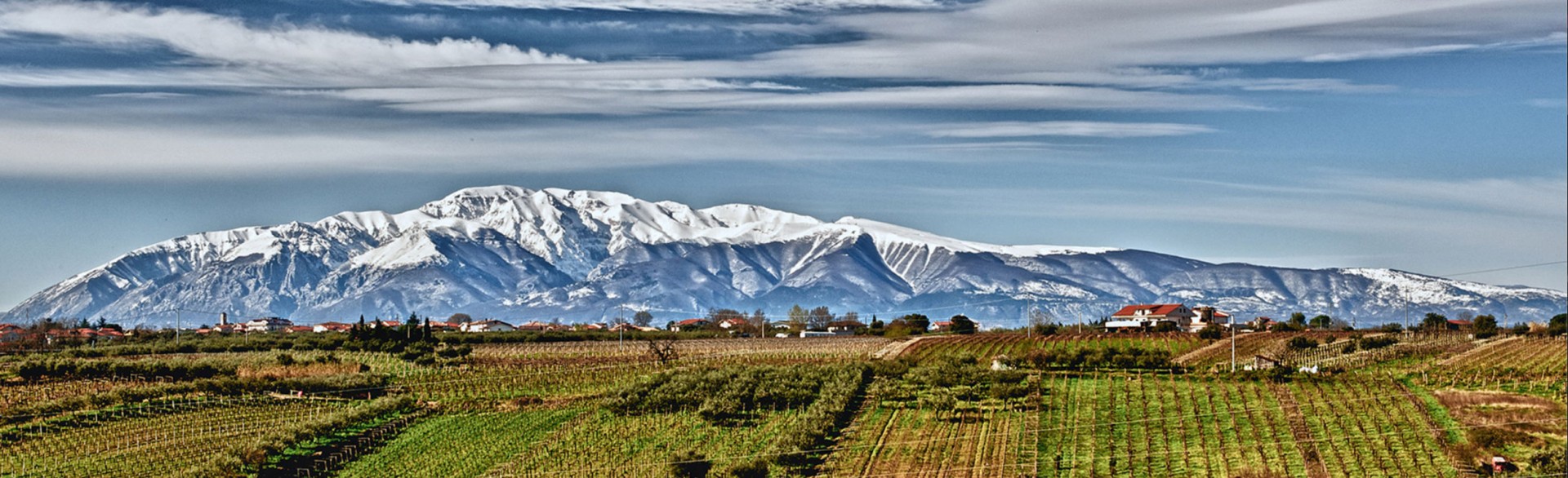 Dall'Abruzzo Tenuta Ulisse Dall'Abruzzo Tenuta Ulisse