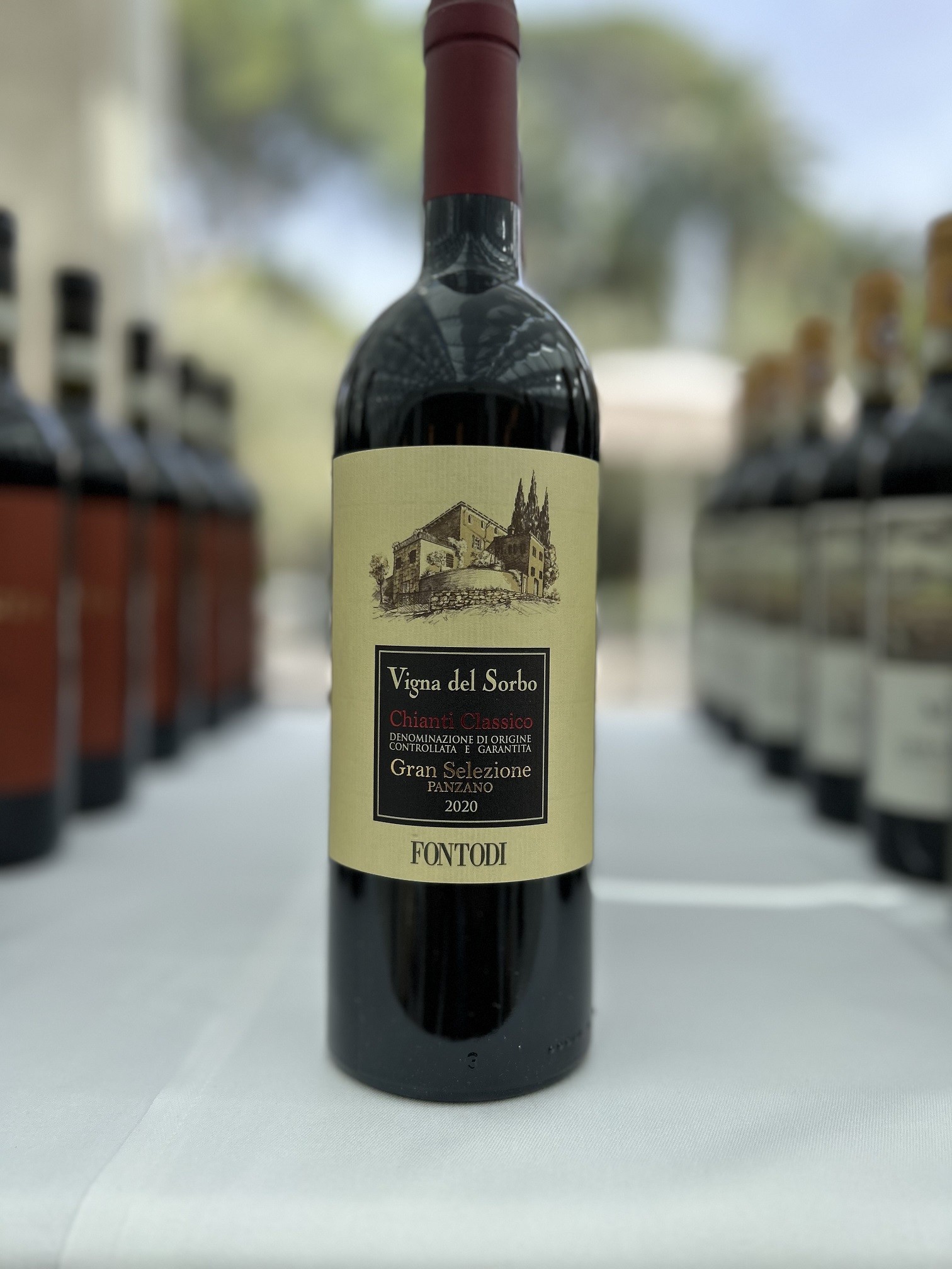 Chianti Classico Gran Selezione Vigna del Sorbo 2020 - Fontodi Chianti Classico Gran Selezione Vigna del Sorbo 2020 - Fontodi