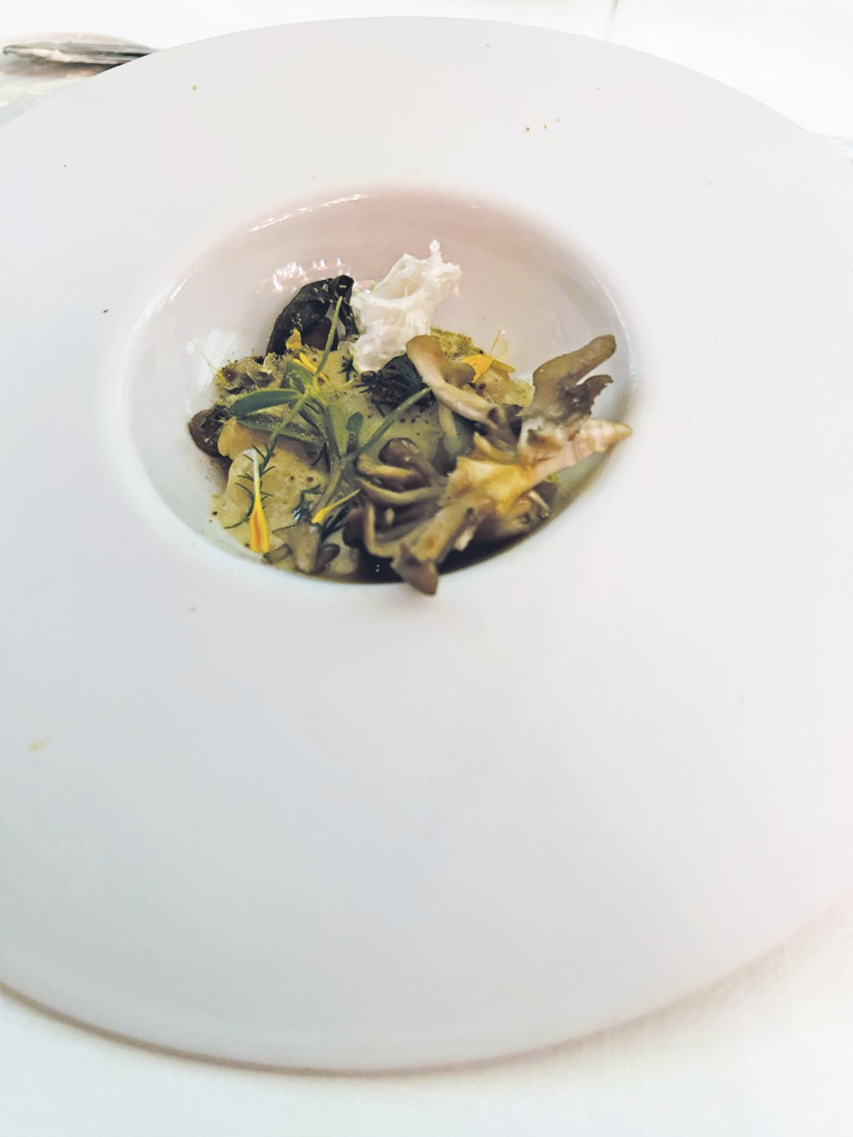 Fungo, legumi e piantaggine