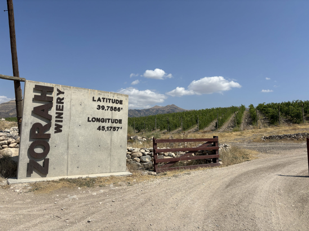 Zorah, vista delle vigne dall'ingresso