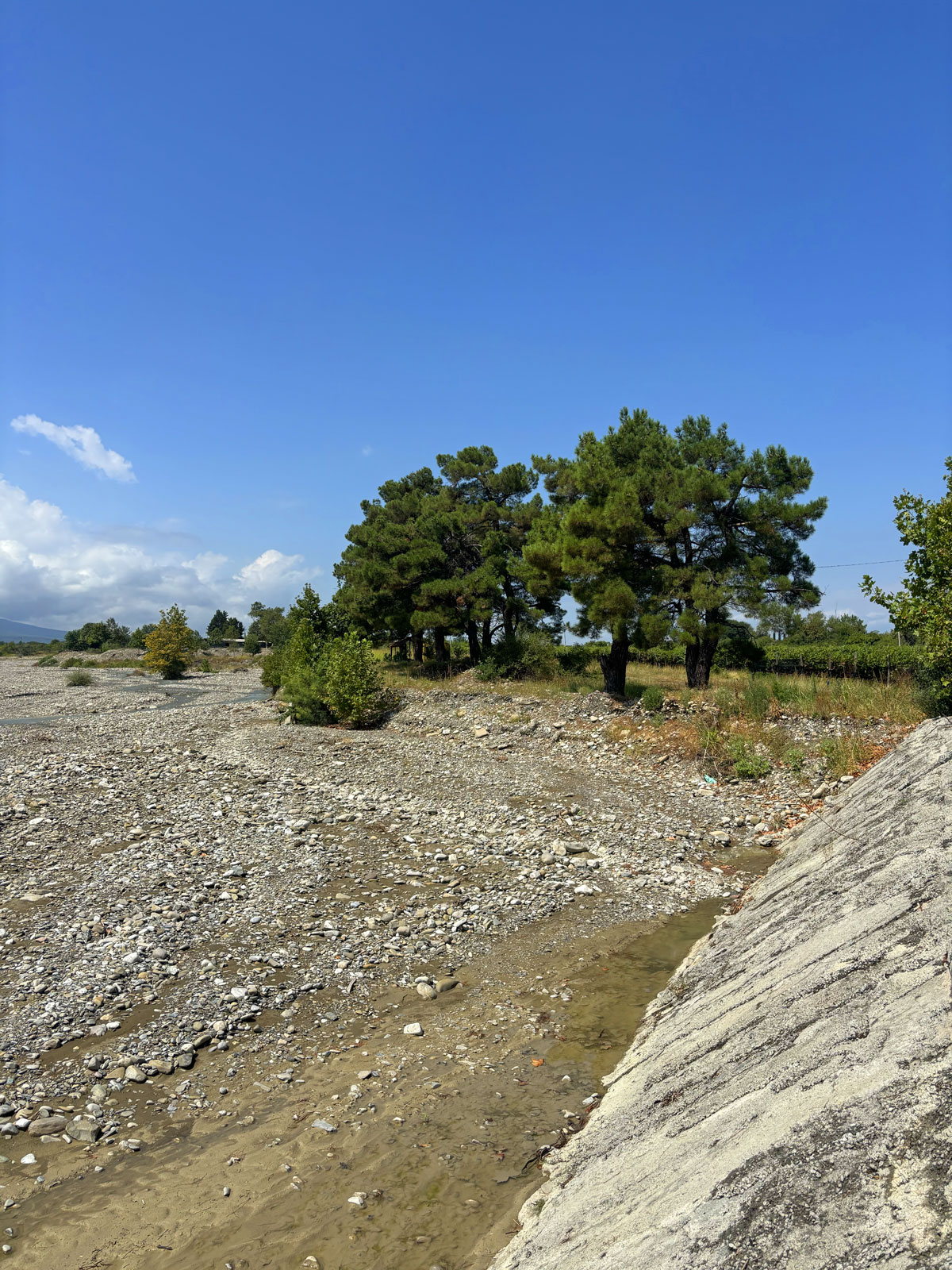 Siamo nella regione del Kakheti nelle vigne di Zurab Topuridze, adiacenti alle rive del fiume Kisiskhevi