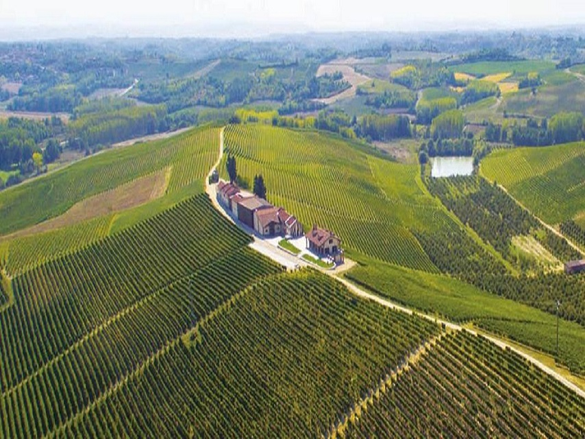 Montalbera: una serata nel cuore del Monferrato