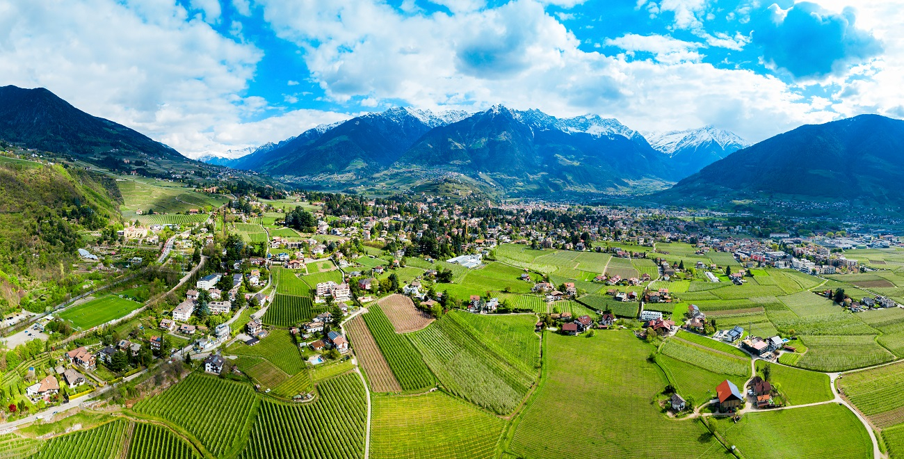 Panoramica dei vigneti in Alto Adige