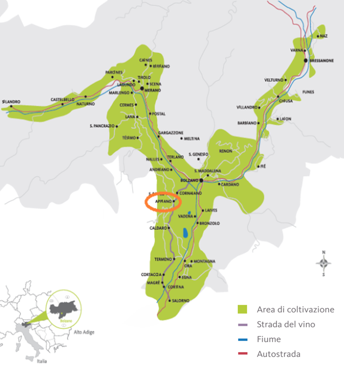 Cartina dell'area vitata