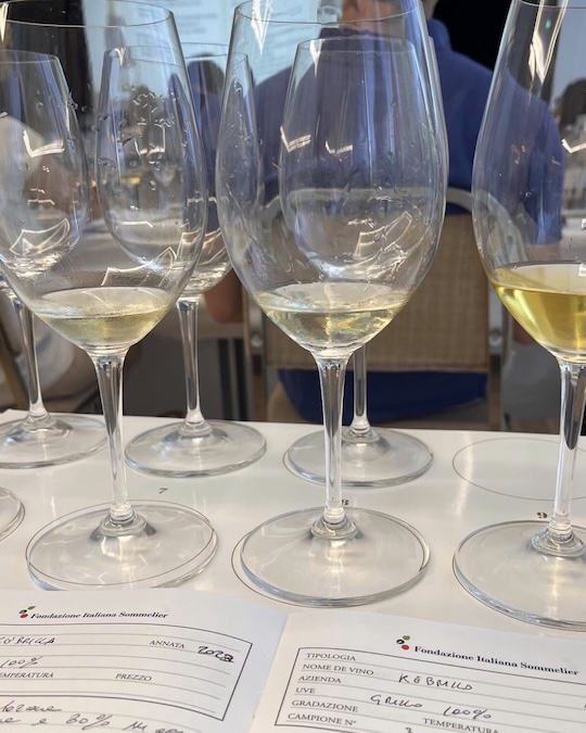 I vini bianchi in degustazione presso la FIS