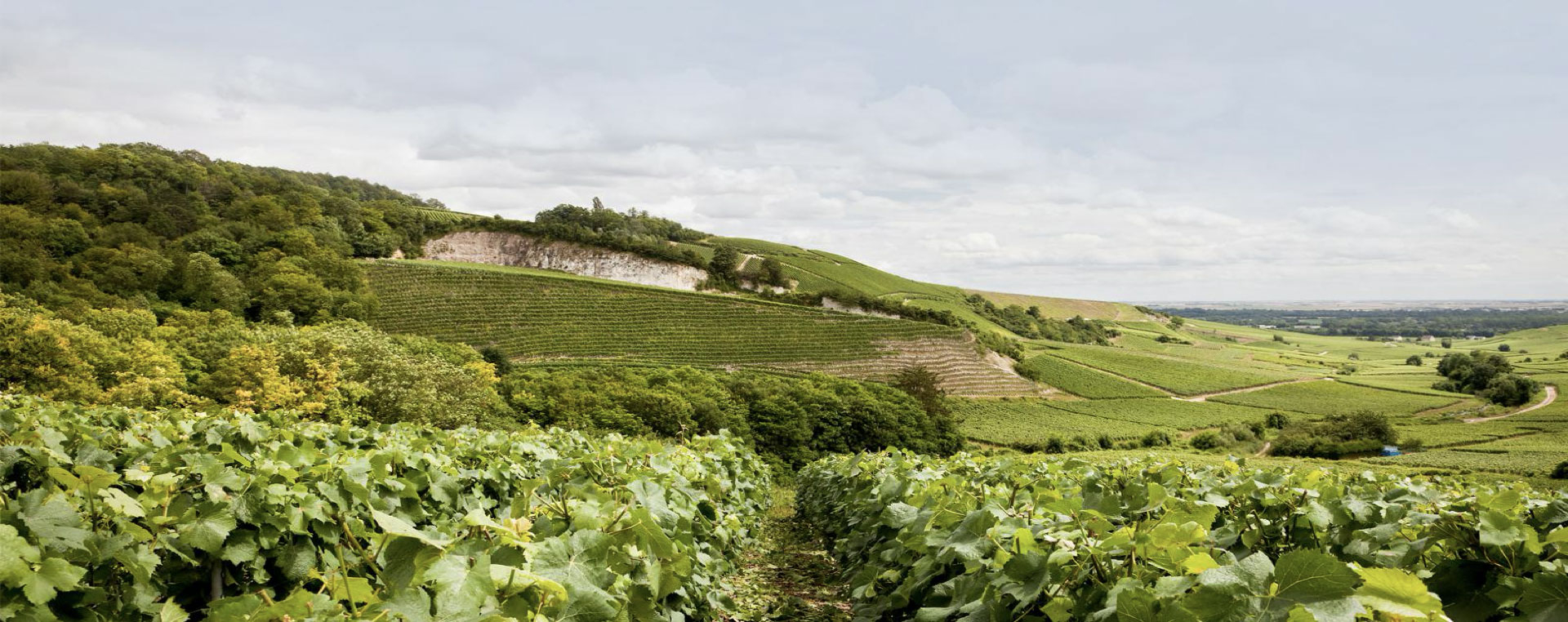 Maison Pommery
