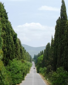 Fotografia Fotografia