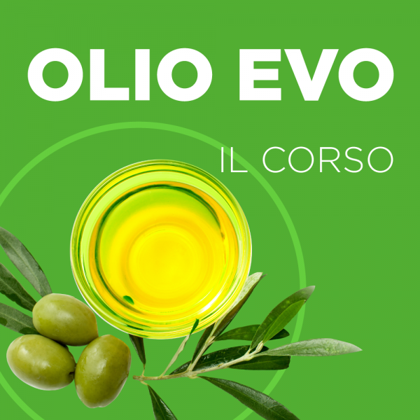 23° Corso di Qualificazione Professionale per Sommelier dell'Olio 23° Corso di Qualificazione Professionale per Sommelier dell'Olio