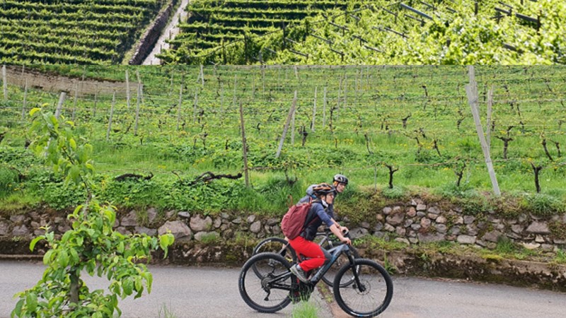 Viaggio-studio in Val di Cembra. Il Müller Thurgau e i vini di montagna