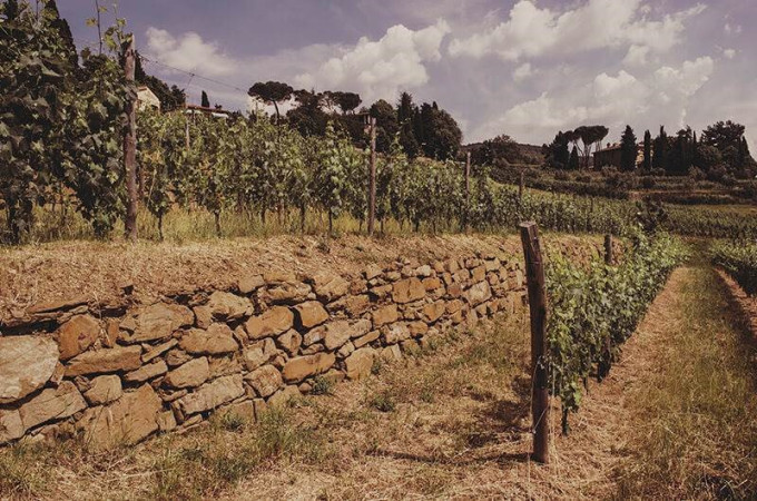 Chianti: Legame unico tra vino e territorio