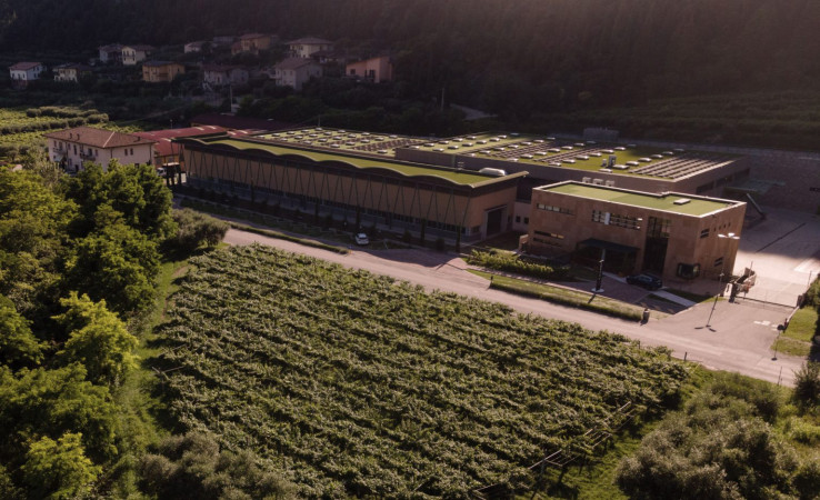Valpolicella: CESARI, alla scoperta del suo Amarone.