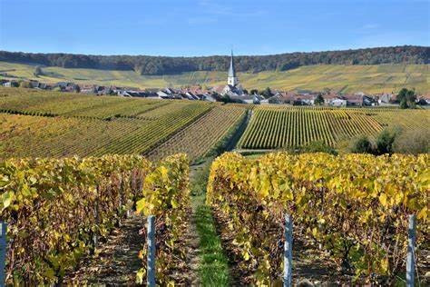 La Montagna di Reims: Pendii calcarei e ripide vallate