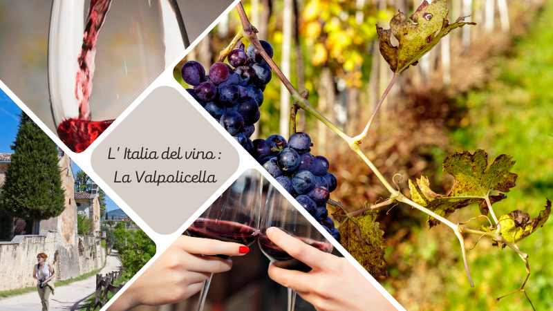 L'Italia del Vino: scopri la Valpolicella