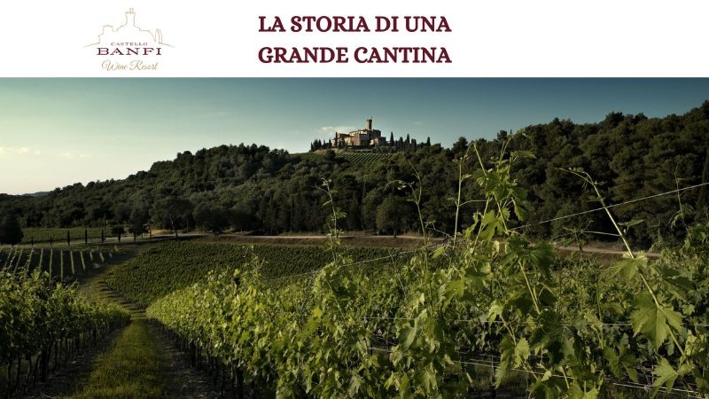 La storia di una grande cantina: il Castello Banfi