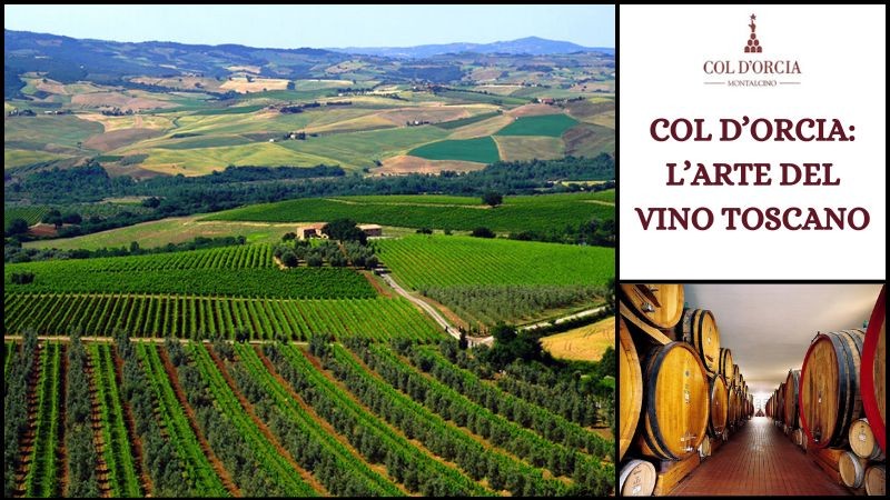 Col d'Orcia: L'Arte del Vino Toscano