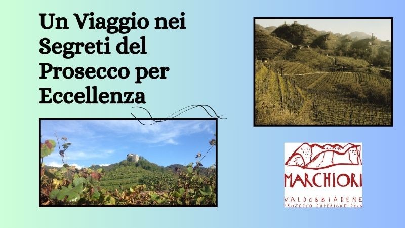 Cantina Marchiori: Un Viaggio nei Segreti del Prosecco per Eccellenza