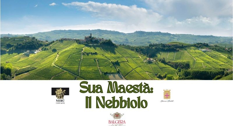 Sua Maestà: Il Nebbiolo