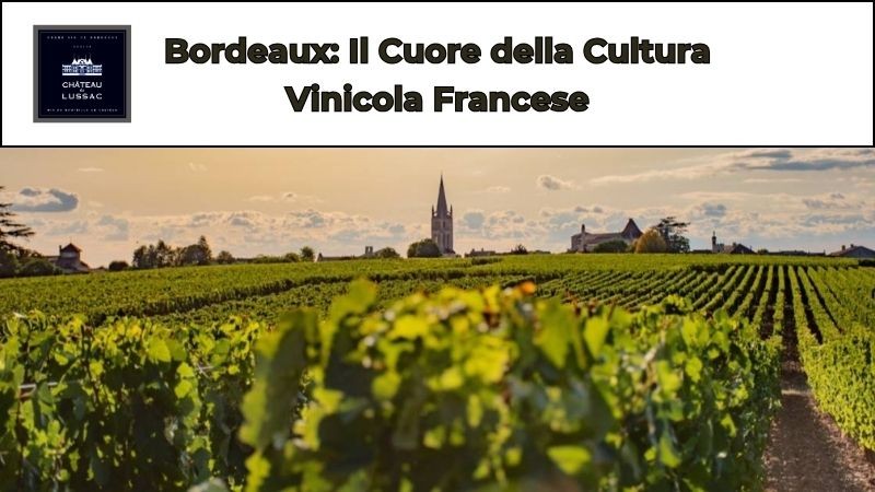 Bordeaux: Il Cuore della Cultura Vinicola Francese