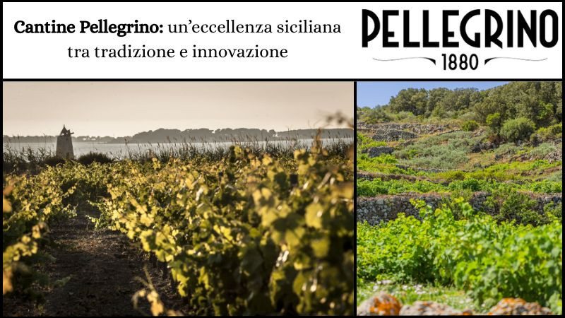 Cantine Pellegrino: un’eccellenza siciliana tra tradizione e innovazione Cantine Pellegrino: un’eccellenza siciliana tra tradizione e innovazione