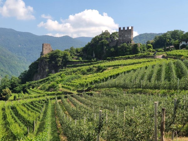 Viaggio-studio in Val di Cembra. Il Müller Thurgau e i vini di montagna Viaggio-studio in Val di Cembra. Il Müller Thurgau e i vini di montagna