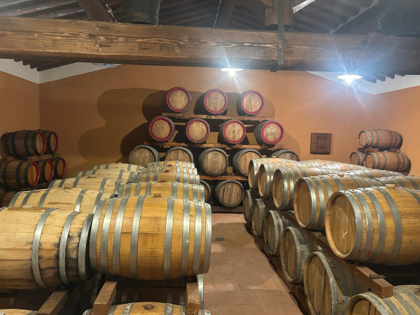 Visita didattica in Toscana | Chianti Classico