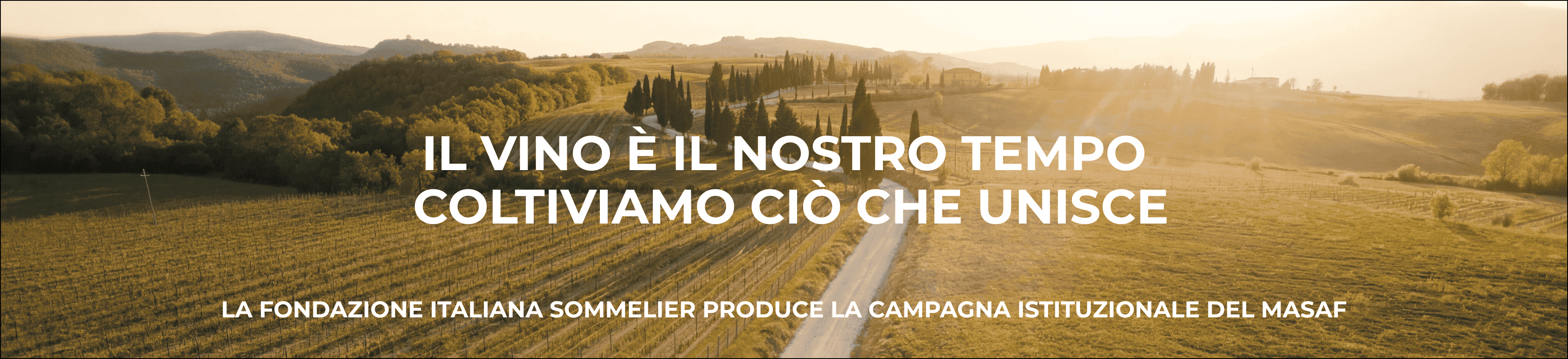 Il Vino è il nostro tempo – Coltiviamo ciò che unisce