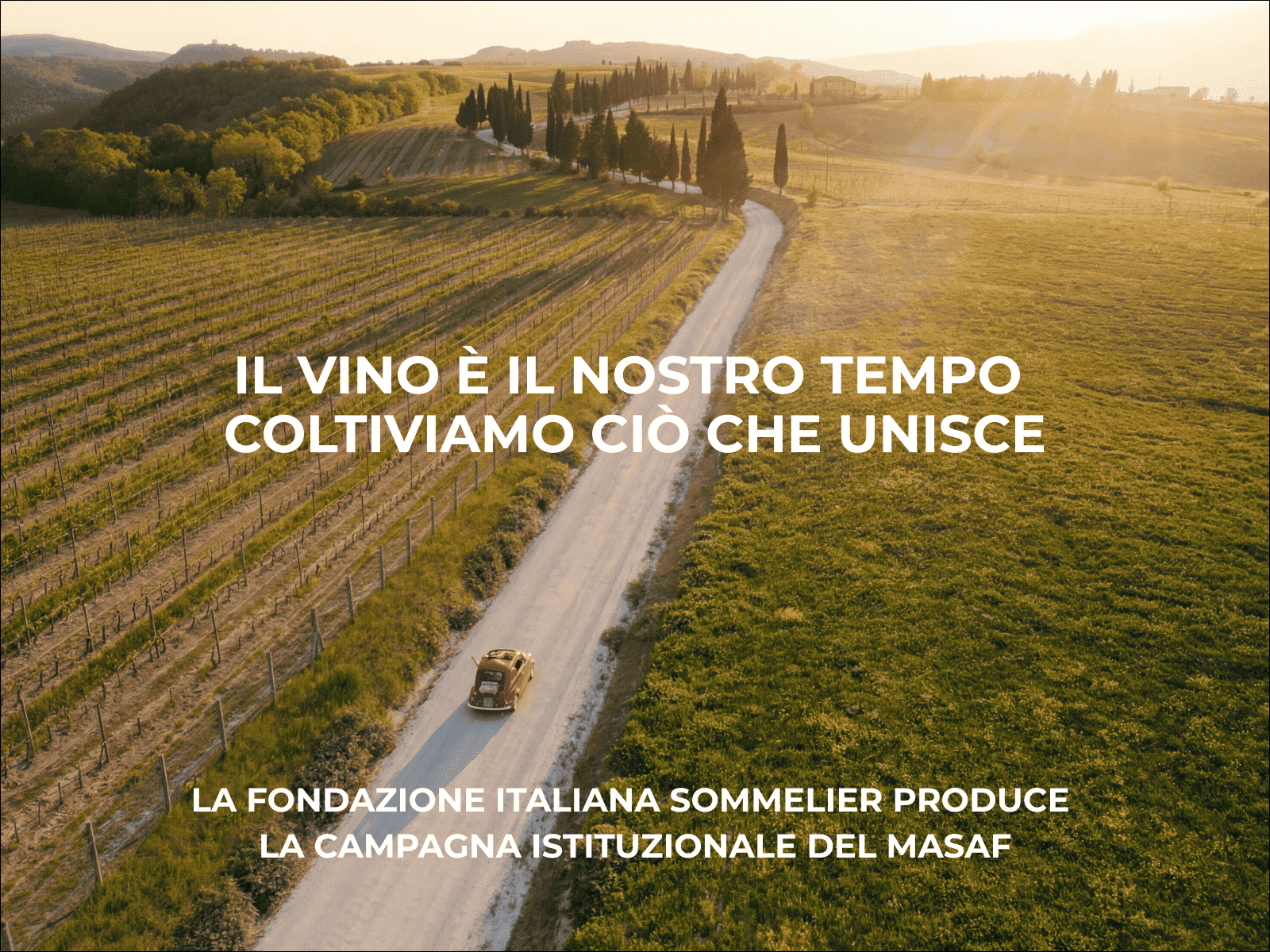 Il Vino è il nostro tempo – Coltiviamo ciò che unisce